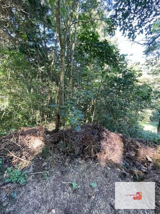 Terreno en lotificación Carr.a El Salvador 1/2 Mz. Km.22.5  — Terreno en Venta en Carretera a El Salvador, Guatemala, Ciudad — miniatura 8 de 10