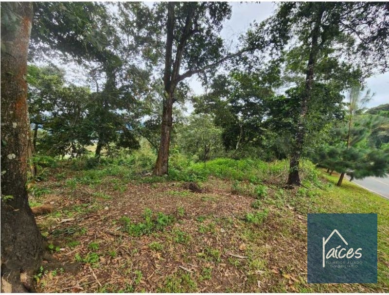 Terreno en venta EL PULTÉ GOLF Zona 16 (D) - 1
