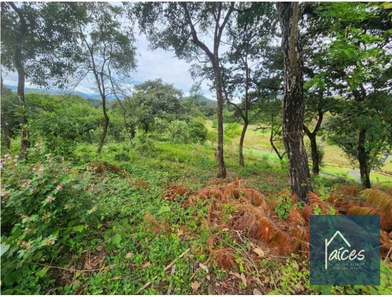 Terreno en venta EL PULTÉ GOLF Zona 16 (D) - 4
