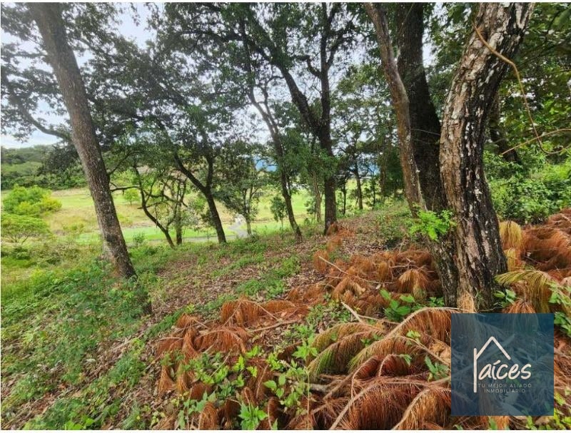 Terreno en venta EL PULTÉ GOLF Zona 16 (D) - 2