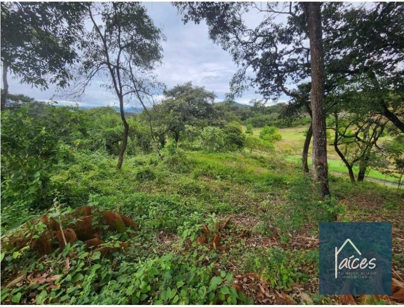 Terreno en venta EL PULTÉ GOLF Zona 16 (D) - 1