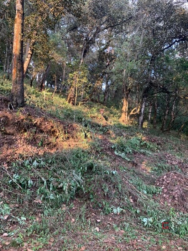 Terreno El Encinal  - 2
