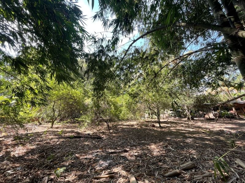 VENDO TERRENO CON PRODUCCION DE BAMBÚ EN PUERTO SAN JOSE — Terreno en Venta en Puerto San José, Escuintla — foto 13 de 13