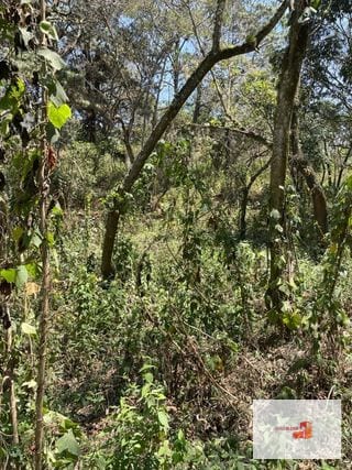 Venta de terreno en Lotificación — Terreno en Venta en Santa Catarina Pinula, Guatemala, Ciudad — miniatura 3 de 4