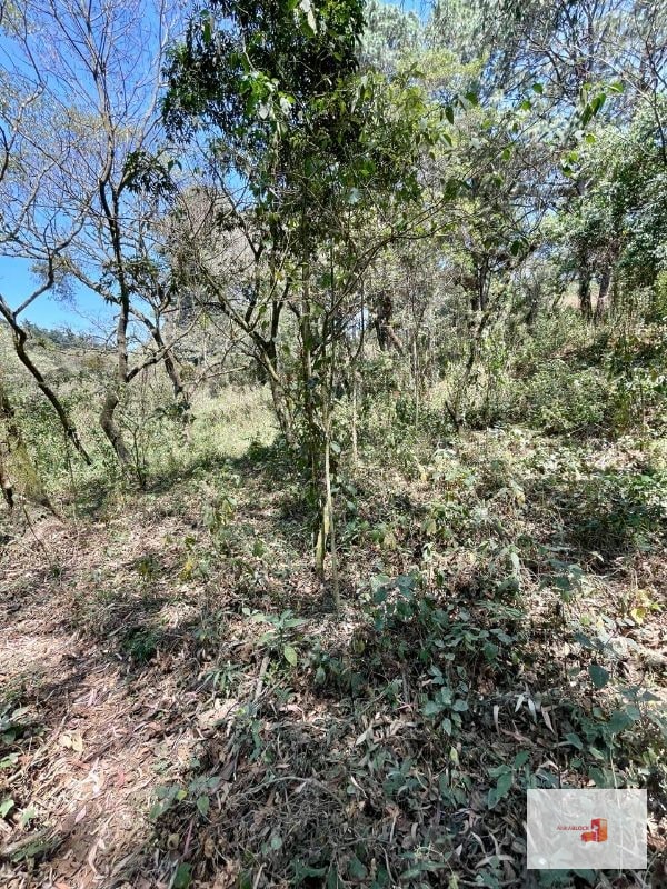 Venta de terreno en Lotificación - 2