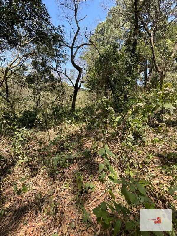 Venta de terreno en Lotificación - 1