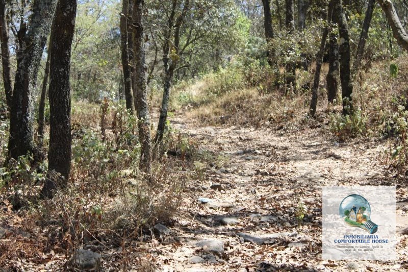 Lindo Terreno en venta zona 1 de Quetzaltenango — Terreno en Venta en Quetzaltenango, Quetzaltenango — foto 4 de 16