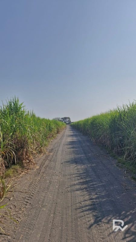 Vendo terreno en antigua carretera Puerto de San José a orilla de carretera - 1
