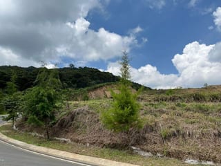 El Pulté Golf — Terreno en Venta en El Pulté, Zona 16, Guatemala, Ciudad — miniatura 7 de 7