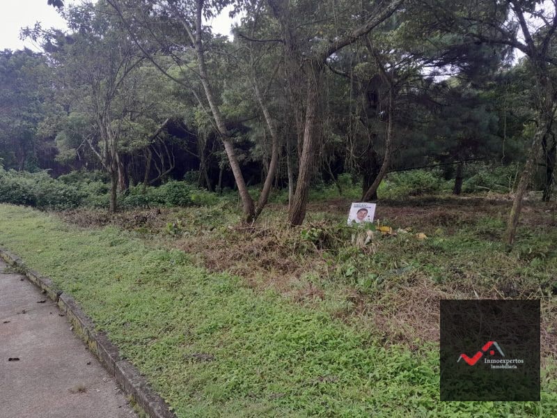 TERRENO EN VENTA CARRETERA A EL SALVADOR CASA Y CAMPO KM. 23.5 - 2