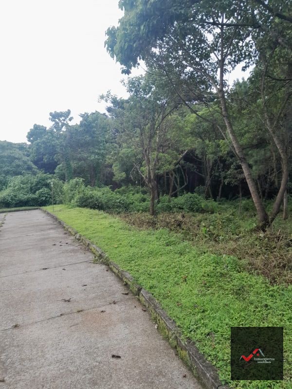 TERRENO EN VENTA CARRETERA A EL SALVADOR CASA Y CAMPO KM. 23.5 - 7
