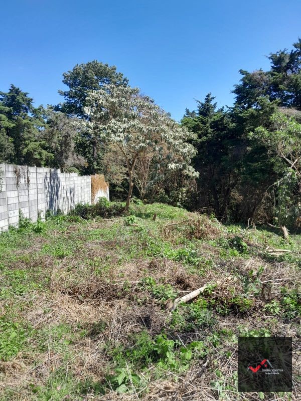 TERRENO EN VENTA CARRETERA A EL SALVADOR CASA Y CAMPO KM. 23.5 - 6