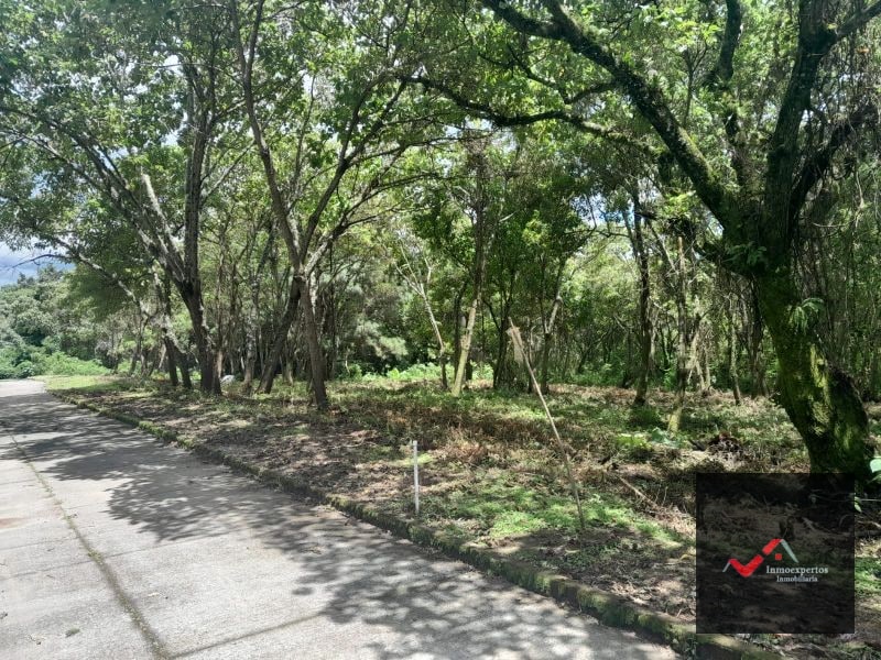 TERRENO EN VENTA CARRETERA A EL SALVADOR KM 23.5 CASA Y CAMPO - 5