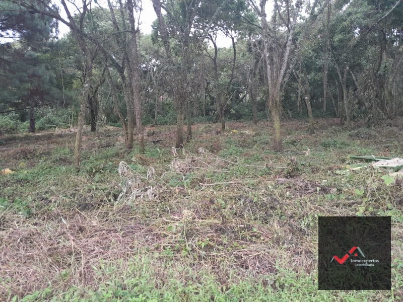 TERRENO EN VENTA CARRETERA A EL SALVADOR KM 23.5 CASA Y CAMPO - 3