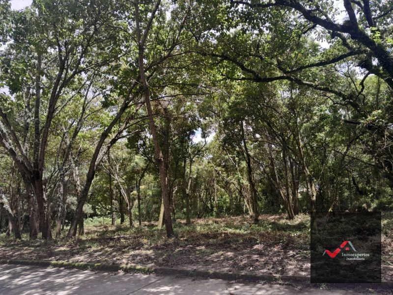 TERRENO EN VENTA CARRETERA A EL SALVADOR  CASA Y CAMPO  KM. 23.5  - 3