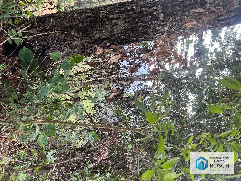 Terreno en Aldea El Rosario — Terreno en Venta en Cento, Santa Catarina Pinula, Guatemala, Ciudad — foto 4 de 11