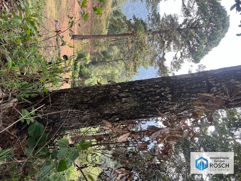 Terreno en Aldea El Rosario — Terreno en Venta en Cento, Santa Catarina Pinula, Guatemala, Ciudad — foto 5 de 11