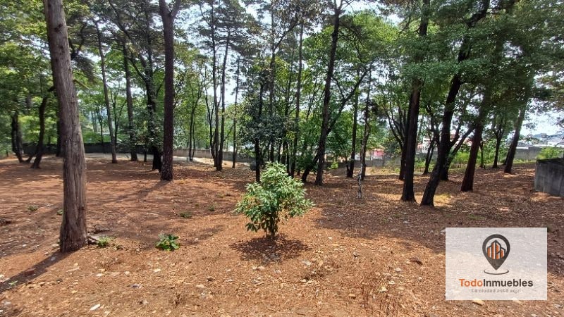 Terreno en Venta en km 21.5 Carretera Panamericana (San Lucas a Guatemala) — Terreno en Venta en Zona 1 Mixco, Guatemala, Ciudad — foto 2 de 9
