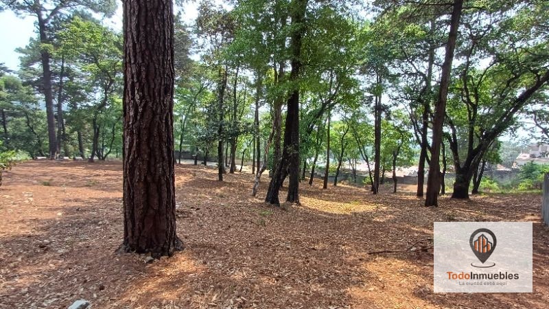 Terreno en Venta en km 21.5 Carretera Panamericana (San Lucas a Guatemala) — Terreno en Venta en Zona 1 Mixco, Guatemala, Ciudad — foto 4 de 9