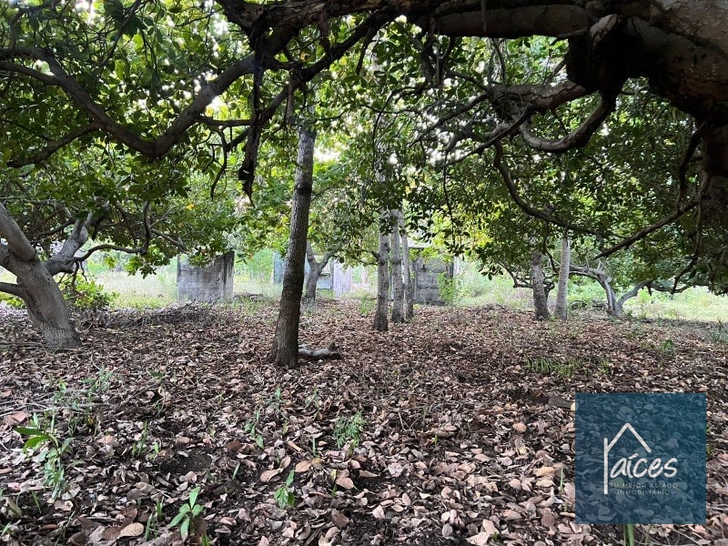Terreno en venta en MONTERRICO ideal para desarrollar hotel (D) - 8