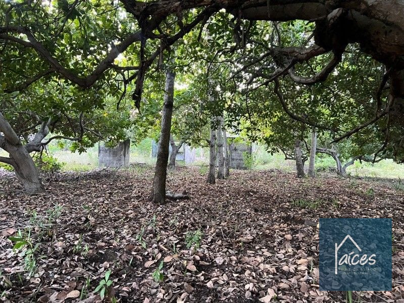 Terreno en venta en MONTERRICO ideal para desarrollar hotel (D) — Terreno en Venta en Costa Sur, Escuintla — foto 7 de 11