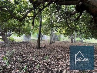 Terreno en venta en MONTERRICO ideal para desarrollar hotel (D) — Terreno en Venta en Costa Sur, Escuintla — miniatura 7 de 11