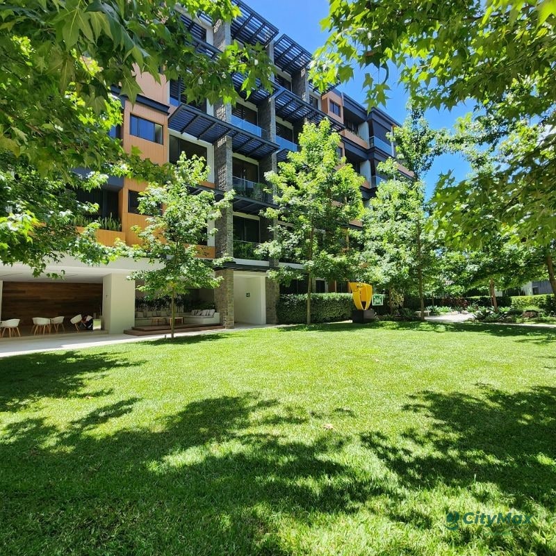 Apartamento Amueblado en Renta o Venta Zona 10 - 2