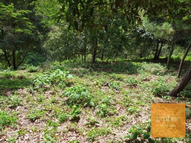 Terreno Acacias de Cayalá — Terreno en Venta en Acacias de Cayalá, Zona 16, Guatemala, Ciudad — foto 5 de 5