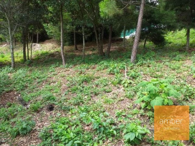 Terreno Acacias de Cayalá — Terreno en Venta en Acacias de Cayalá, Zona 16, Guatemala, Ciudad — foto 4 de 5