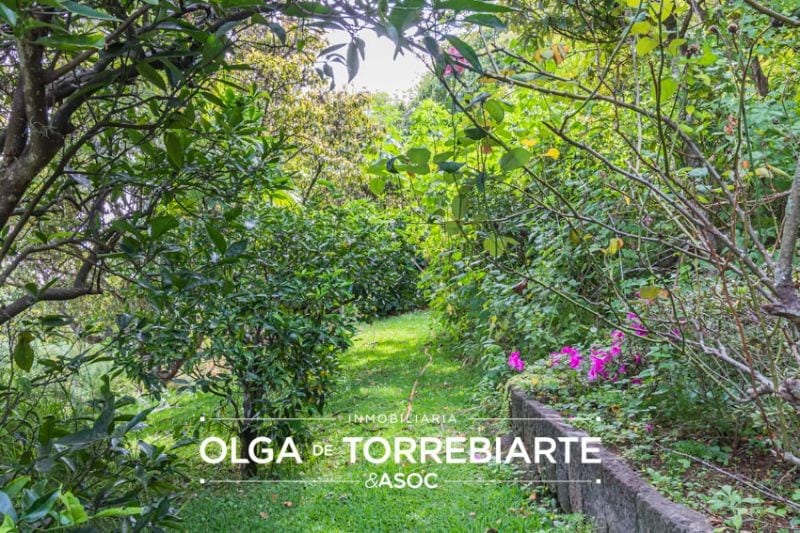 Terreno en Atitlan, Pajaibal de la Sirena — Terreno en Venta en Cerro de Oro, Sololá — foto 8 de 13
