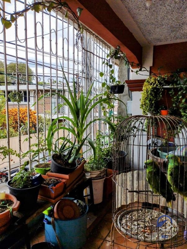 Casa en Venta en Barrio Gerona, zona 1, Ciudad de Guatemala - 12