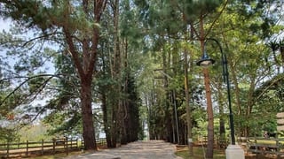 VENTA TERRENO EN SANTA ELENA DEL LAGO.  Km. 32 SANTA ELENA BARILLAS — Terreno en Venta en Santa Elena Barillas, Guatemala, Ciudad — miniatura 15 de 16