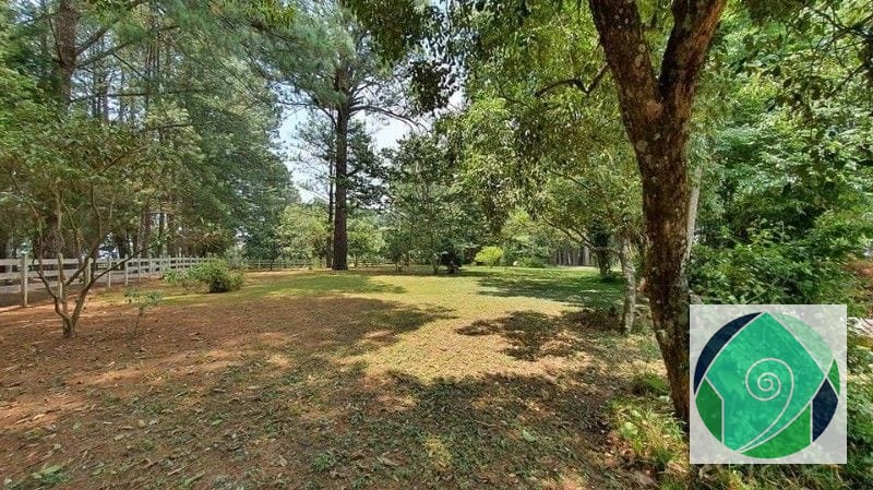 VENTA TERRENO EN SANTA ELENA DEL LAGO. Km. 32 SANTA ELENA BARILLAS — Terreno en Venta en Santa Elena Barillas, Guatemala, Ciudad — foto 1 de 16