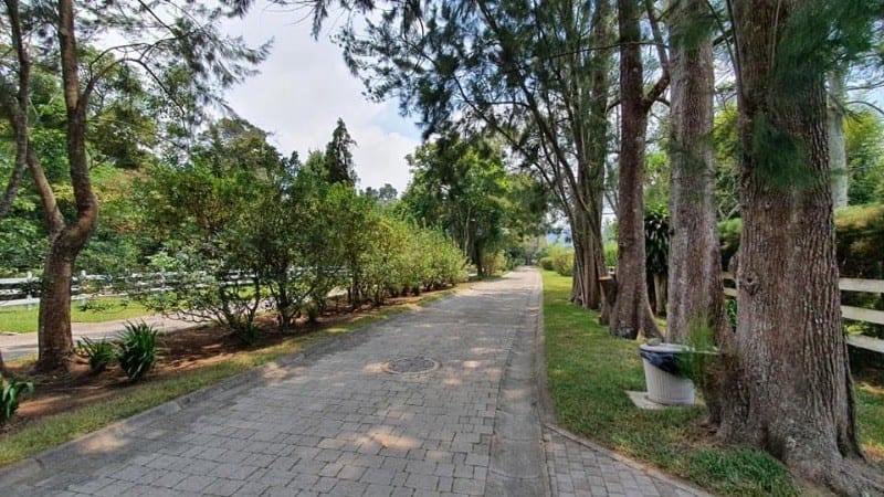 VENTA TERRENO EN SANTA ELENA DEL LAGO.  Km. 32 SANTA ELENA BARILLAS — Terreno en Venta en Santa Elena Barillas, Guatemala, Ciudad — foto 14 de 16