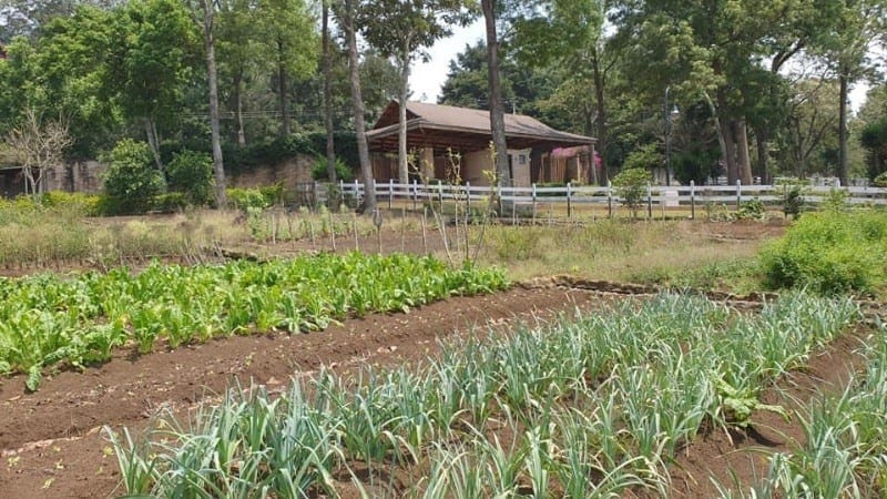 VENTA TERRENO EN SANTA ELENA DEL LAGO.  Km. 32 SANTA ELENA BARILLAS — Terreno en Venta en Santa Elena Barillas, Guatemala, Ciudad — foto 16 de 16