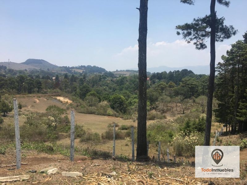Terreno en Venta en Fraijanes 40 Mil v2 - 2