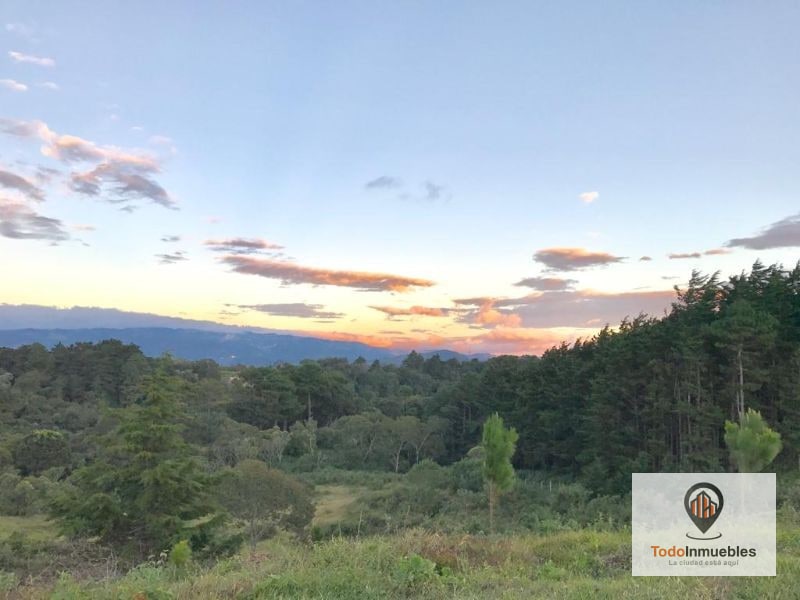 Terreno en Venta en Fraijanes 40 Mil v2 - 6