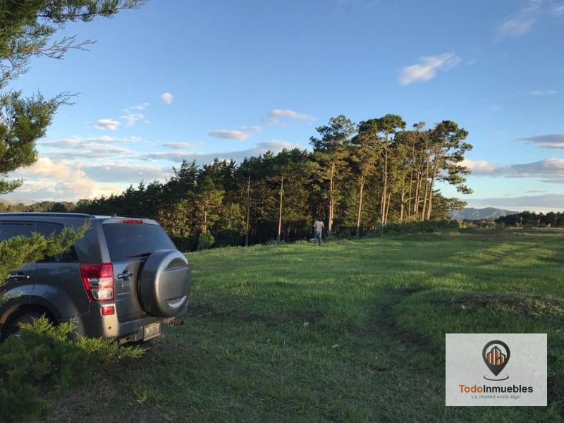 Terreno en Venta en Fraijanes 40 Mil v2 - 5
