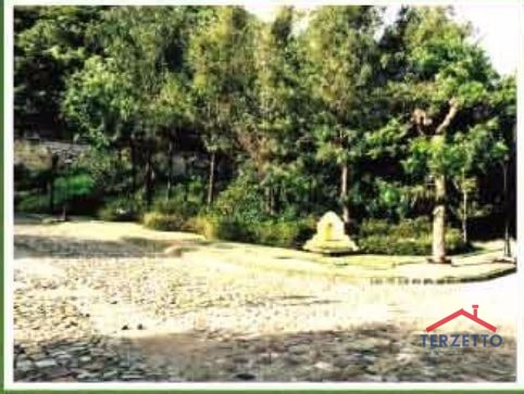 FINCA FILADELFIA - 1