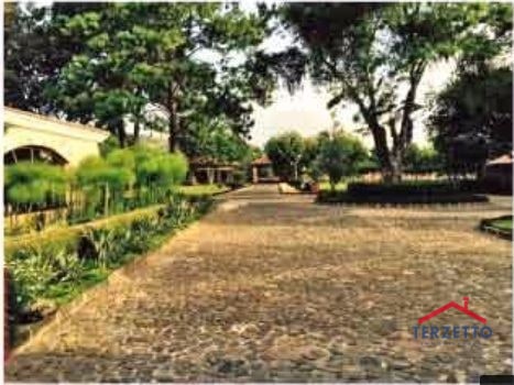 FINCA FILADELFIA - 5