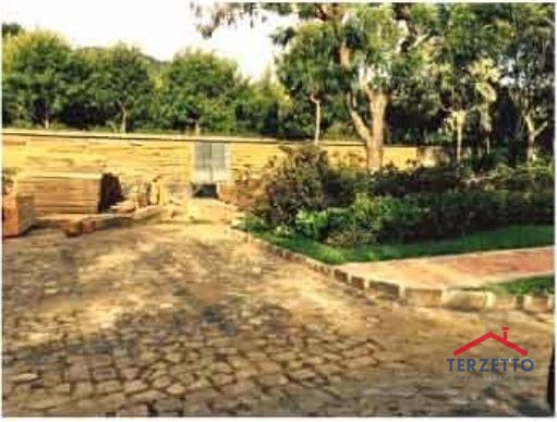 FINCA FILADELFIA - 4