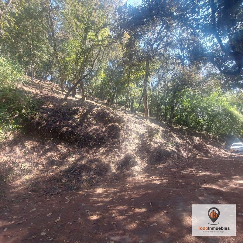 Terreno en Venta en El Encinal Tronco 10 - 2
