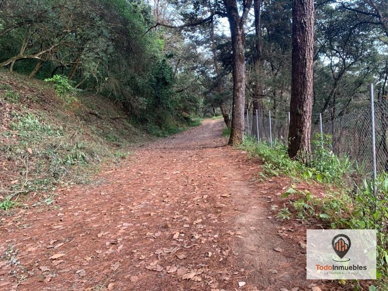 Terreno en Venta en El Encinal Tronco 10 - 4