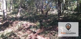 Terreno en Venta en El Encinal Tronco 10 — Terreno en Venta en El Encinal, Zona 7 Mixco, Guatemala, Ciudad — miniatura 4 de 4