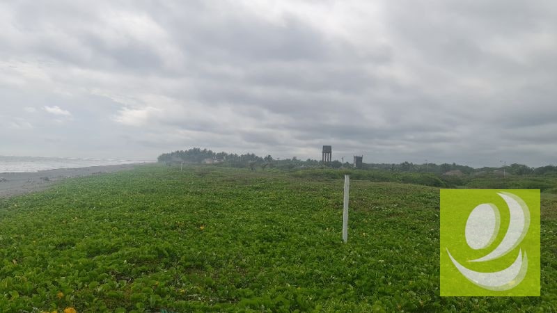 TERRENO EN VENTA FRENTE AL MAR EN MONTERRICO - 1