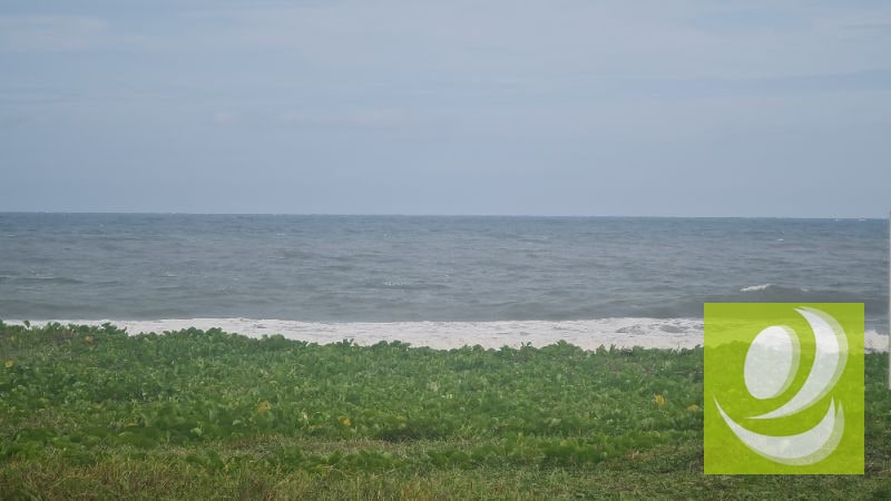 TERRENO EN VENTA FRENTE AL MAR EN MONTERRICO - 8