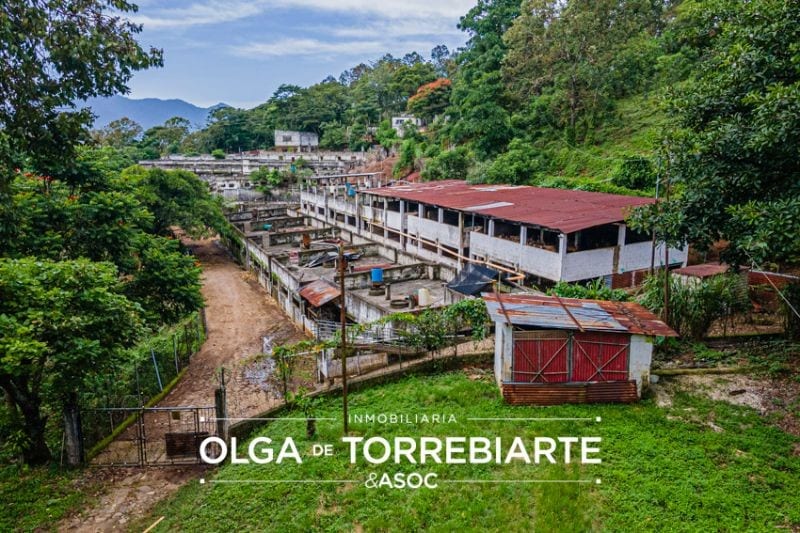 Finca en Pueblo Nuevo Viñas  — Finca en Venta en Pueblo Nuevo Viñas, Santa Rosa — foto 2 de 17