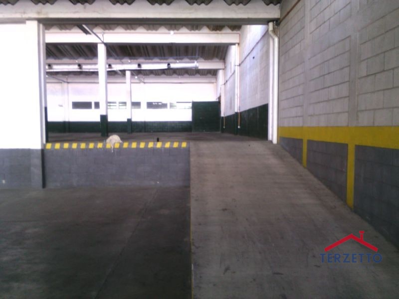 Bodega Zona 12 - 5