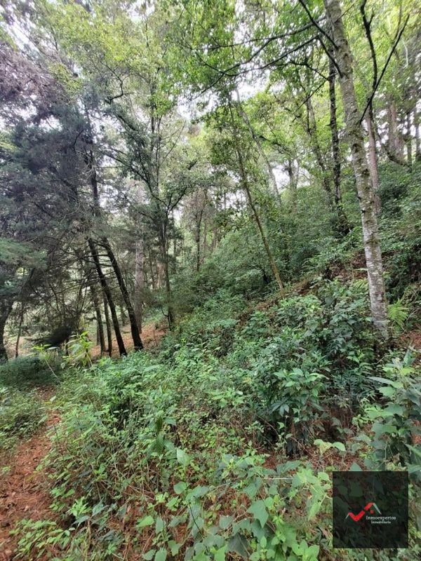 TERRENO EN VENTA SAN LUCAS, SACATEPEQUEZ - 2