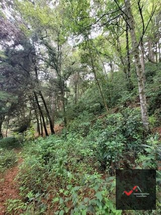 TERRENO EN VENTA SAN LUCAS, SACATEPEQUEZ  — Terreno en Venta en San Lucas Sacatepéquez, Sacatepéquez — miniatura 11 de 12